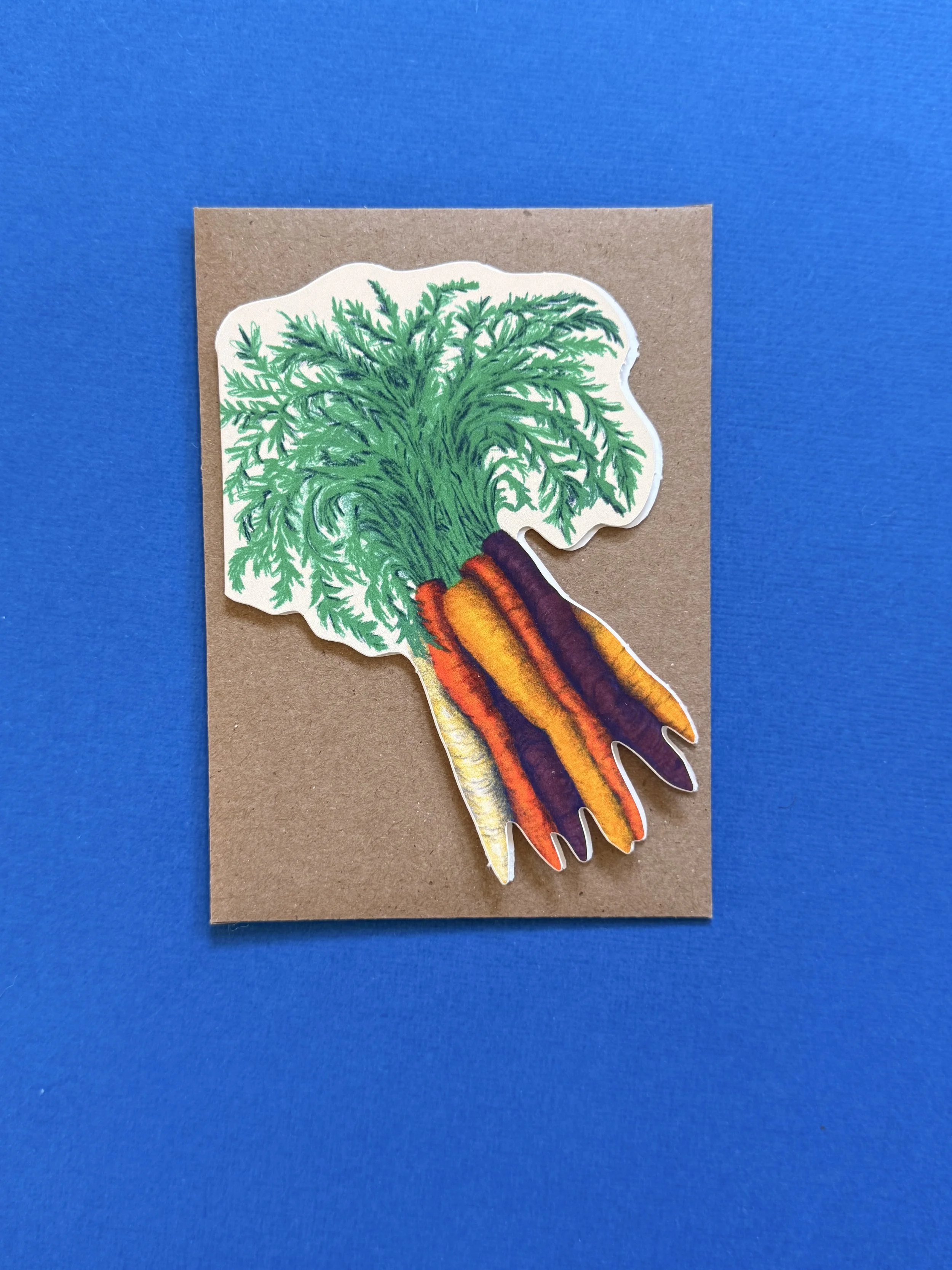 Farmer Market - carrots.jpeg