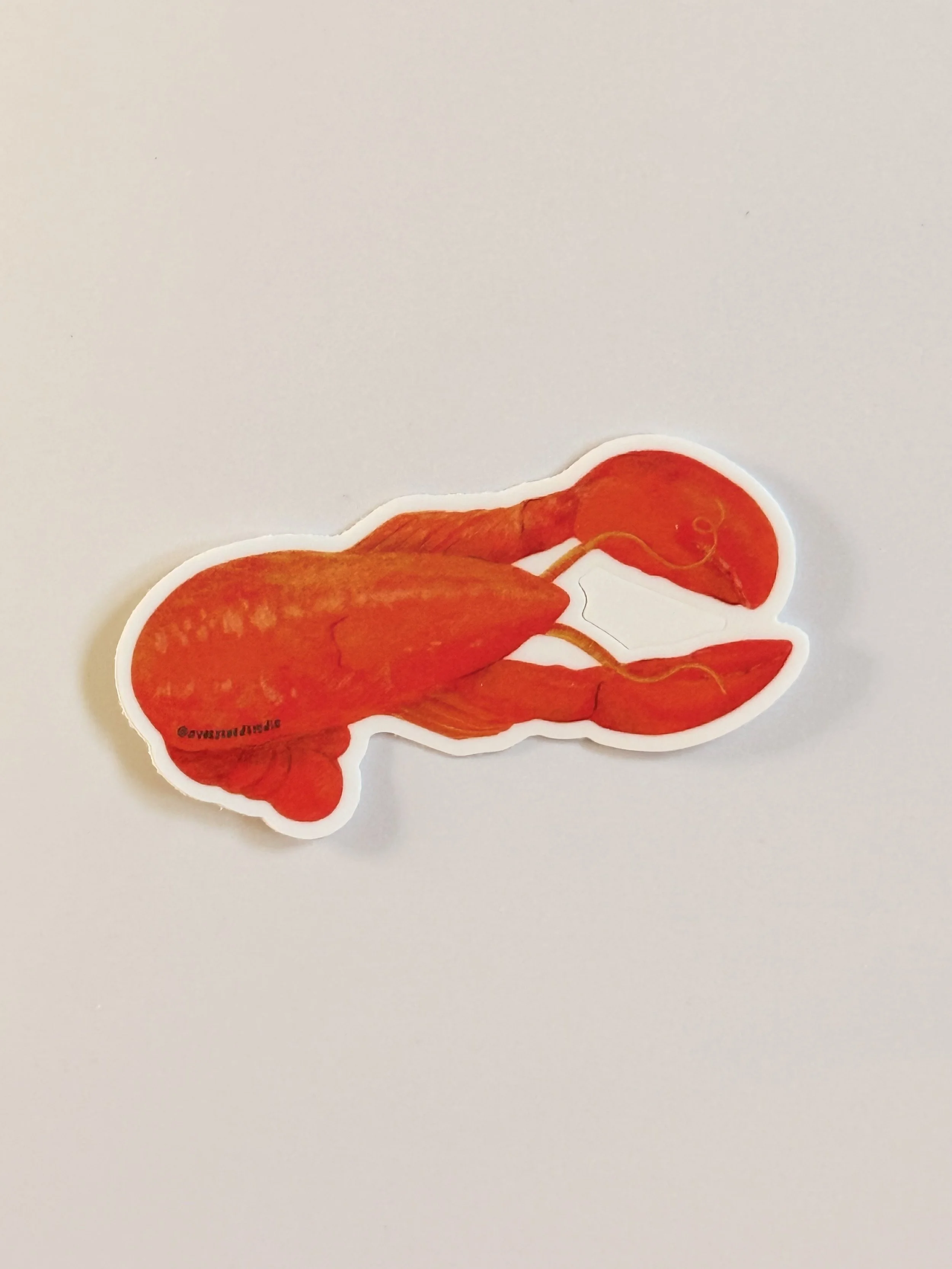 Lobster 1.jpeg