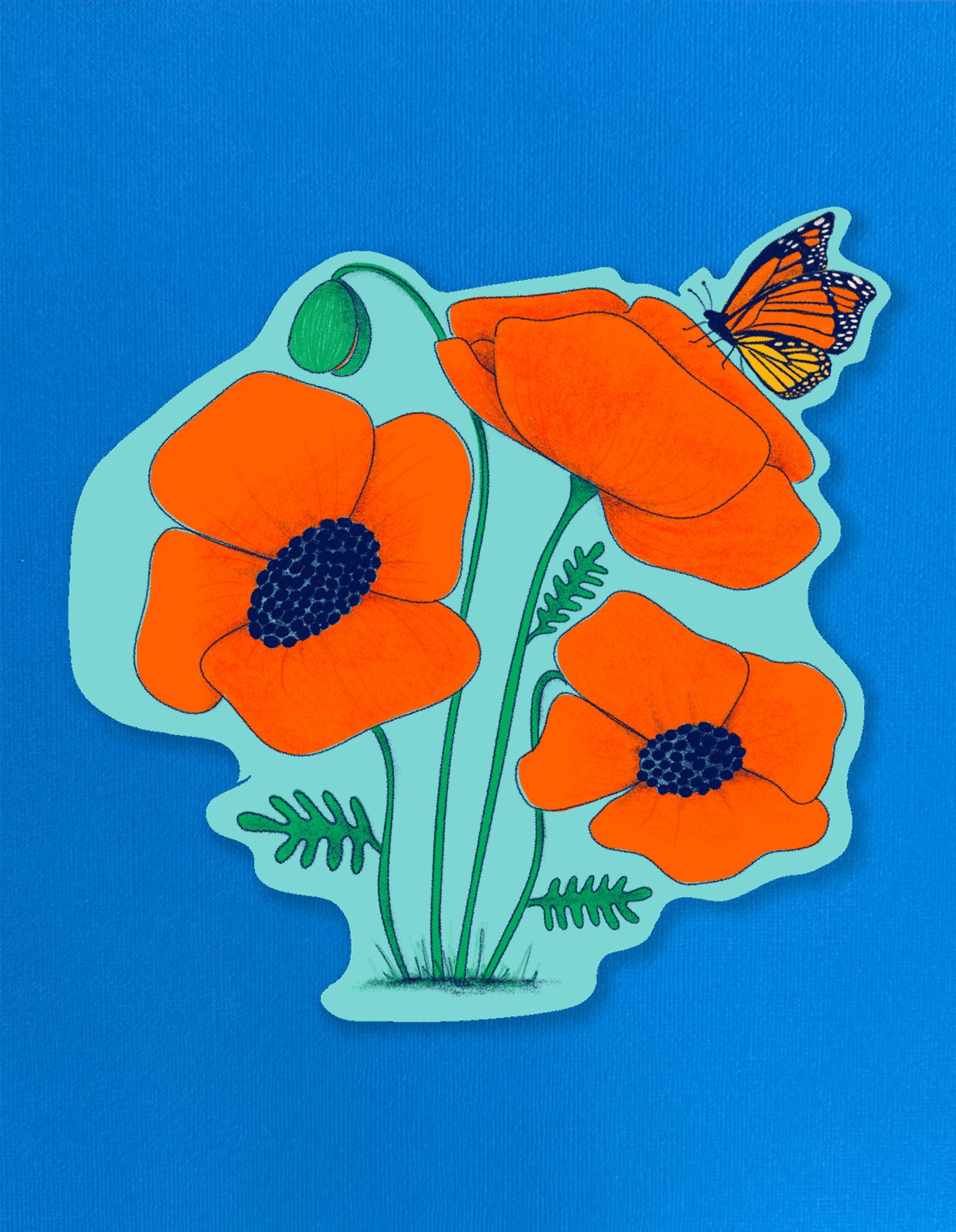 Butterfly Poppy - shop image copy.jpg