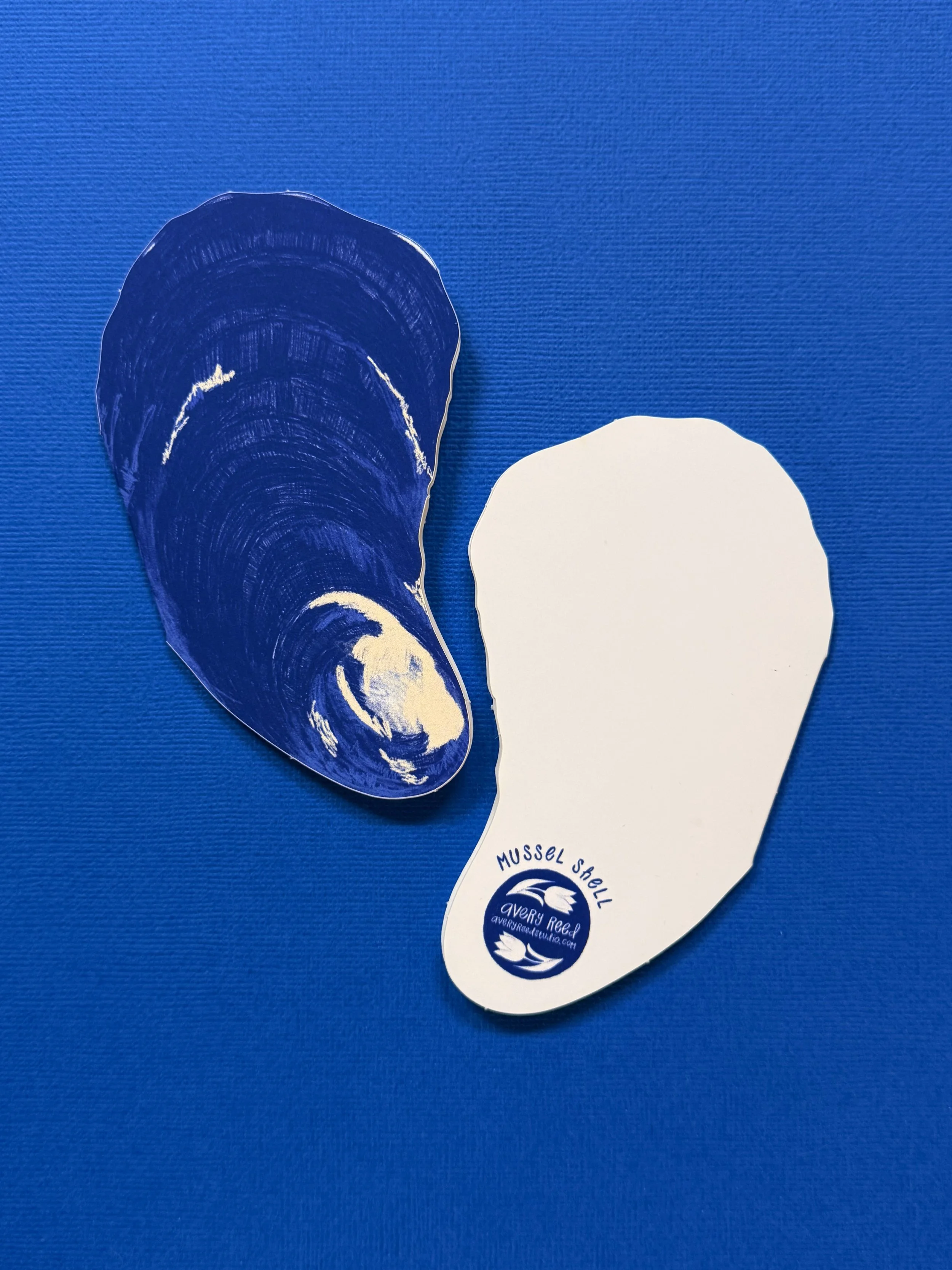 Mussel - 1.jpeg