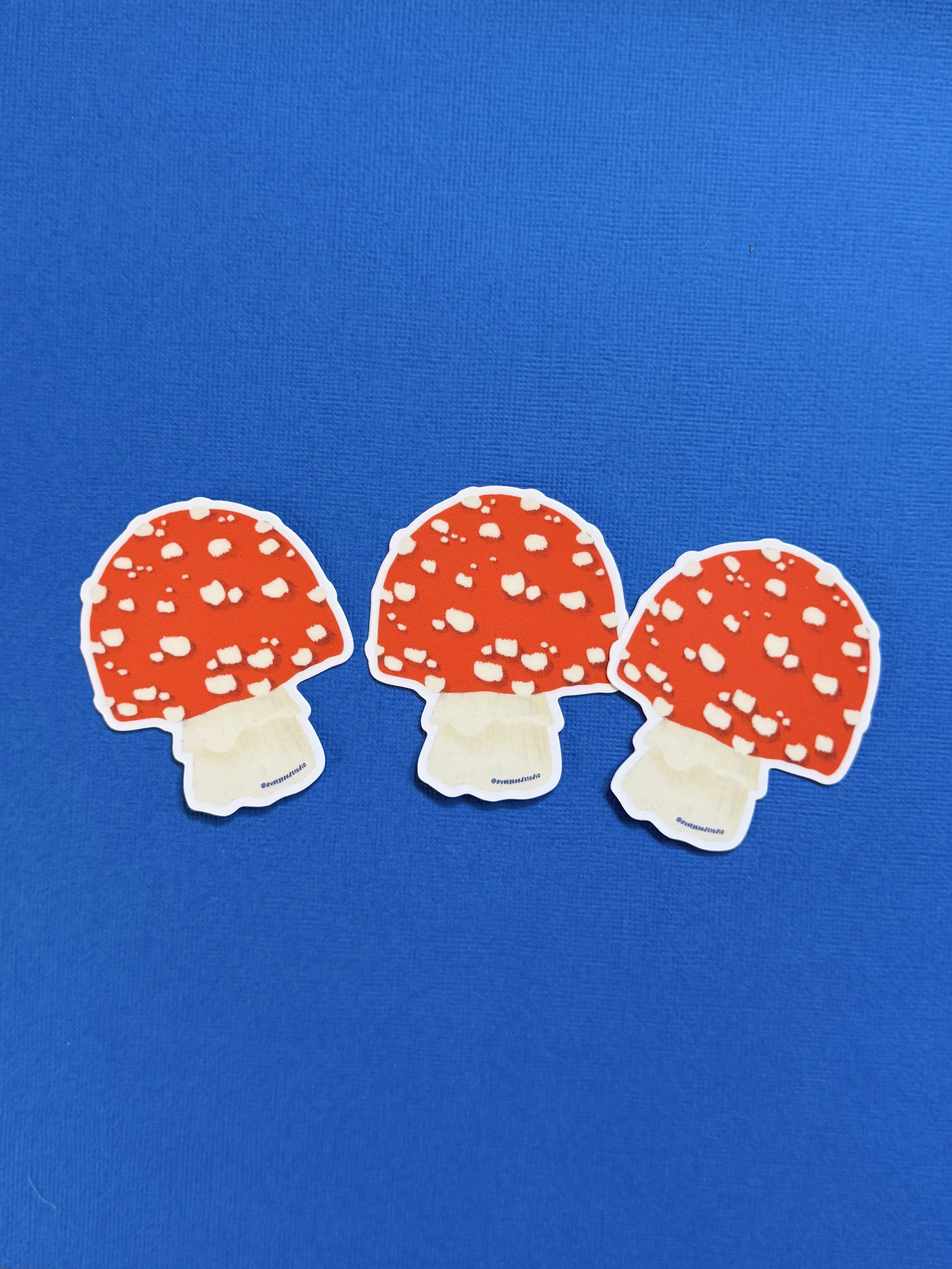 Mushroom 2.jpeg