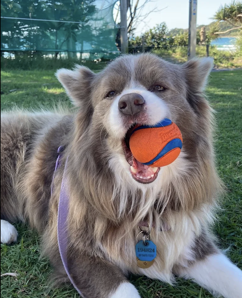 Frankie - Cancer Support
