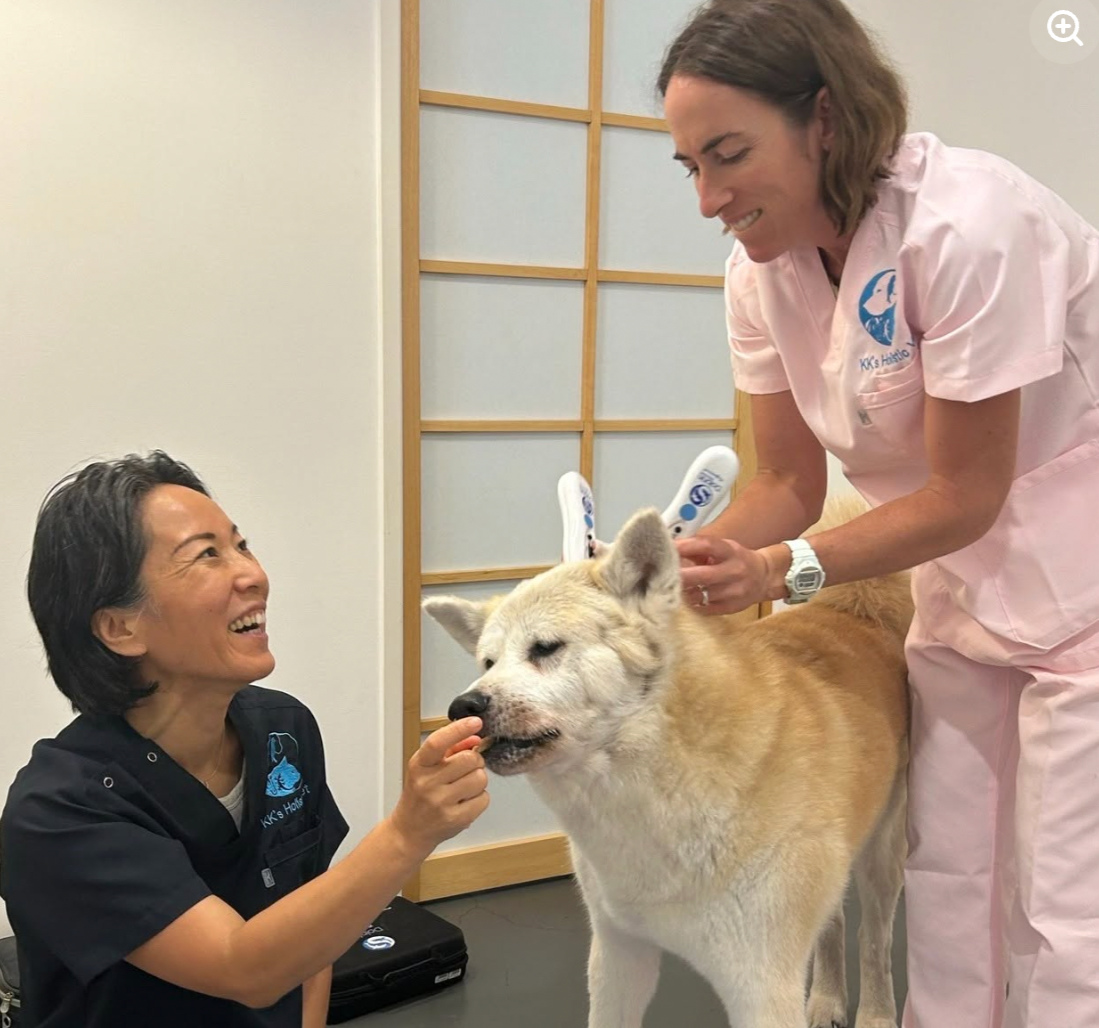 🐾 Mobility — watch the little changes