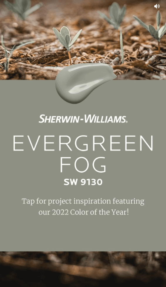  plant based interior design. Sherwin Williams green color of the year 2022. &nbsp;organic design 
