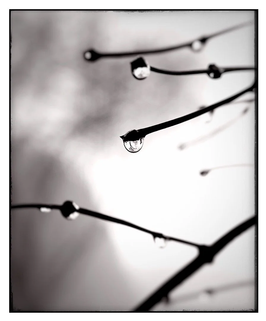 FullSizeRender (2).JPG