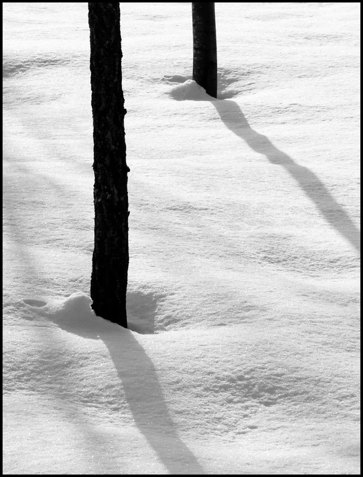 FullSizeRender (11).JPG