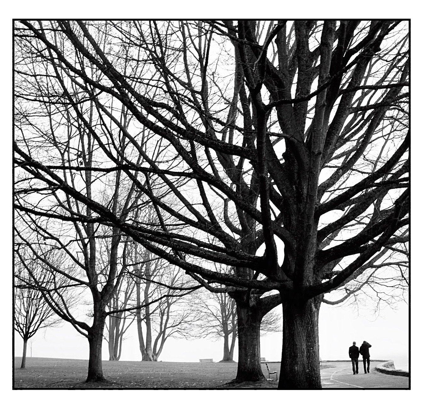 FullSizeRender (4).JPG