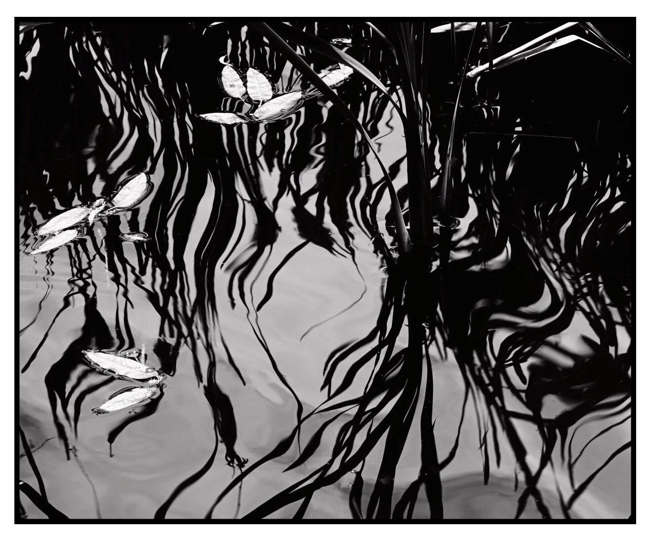 0994 small res (2).JPG