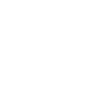 manualeso