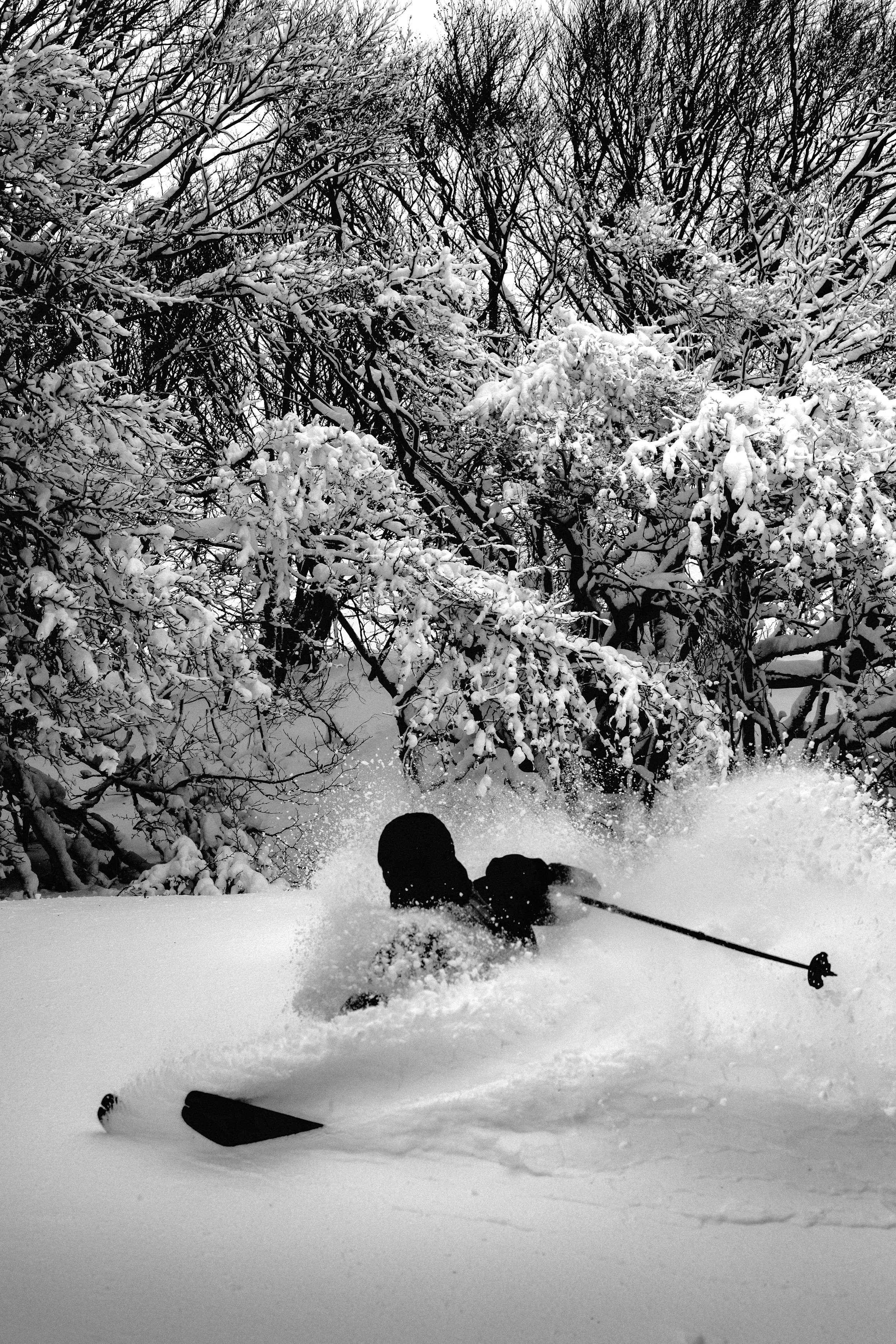 Persona haciendo esquí en la nieve con árboles cubiertos de nieve en el fondo.