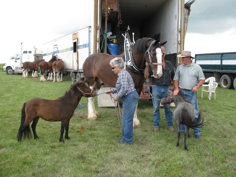 Our Annual Horse Fair is only 6 days away, Come on down for an afternoon filled with fun! Lots of local vendors will be there, buy from them and get a  jump on those Holiday gifts! 
Lots of amazing local food trucks if you are hungry!
#saskatchewan #