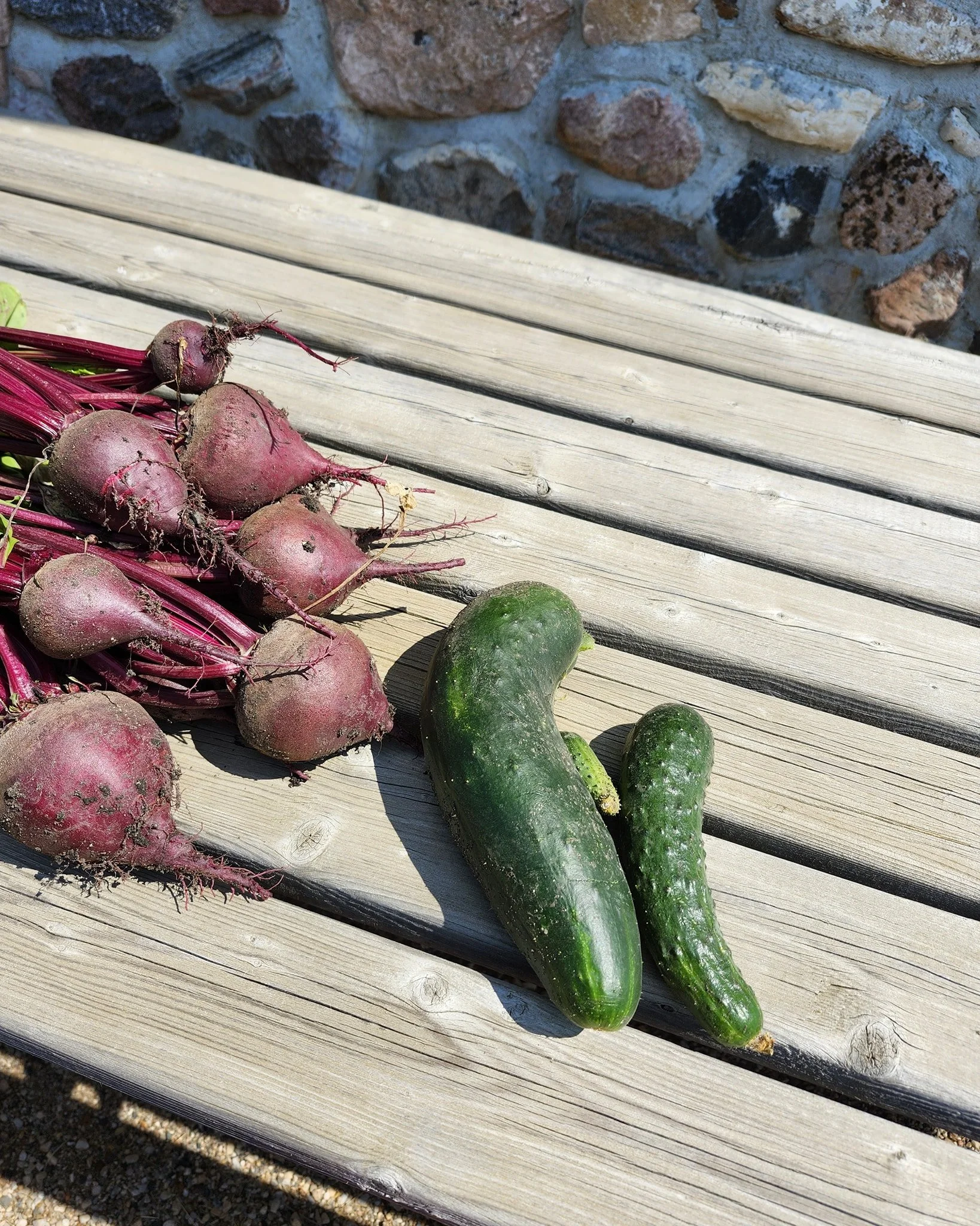 Our first mini-harvest at the Bell Barn this year.

Stop by and grab some fresh beets, cucumbers, and raspberries. All produce is available by donation.

Take some beet greens as well for a nice addition to some salads, or steam it like spinach!

We 