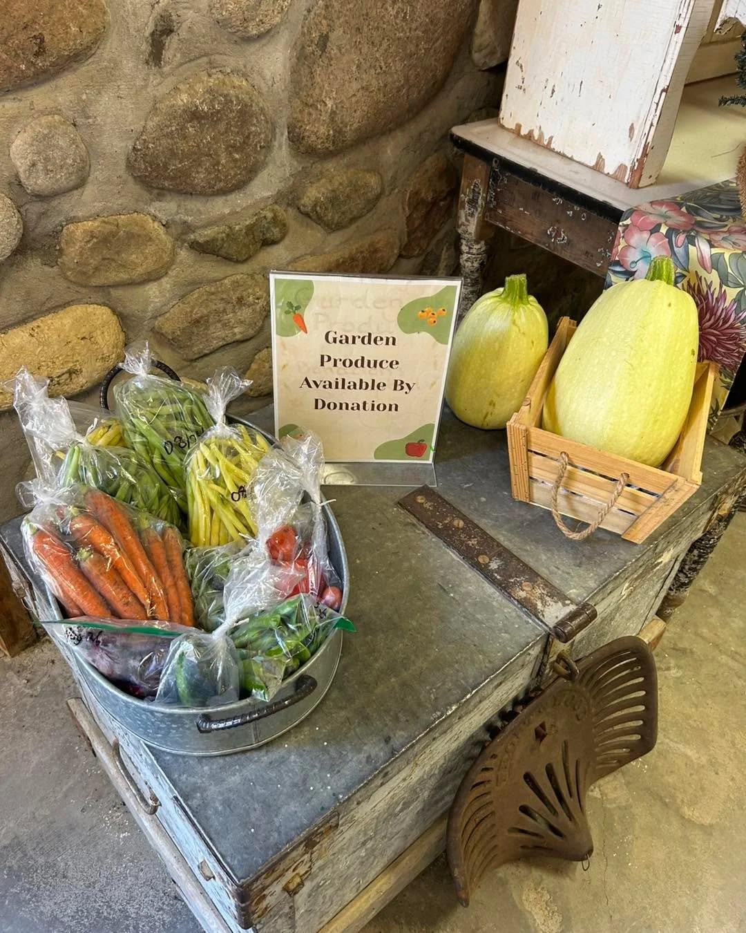 Looking for some fresh produce? 
Make sure to stop by the Bell Barn before September 2nd to grab some delicious vegetables from our garden! The produce can be exchanged for any amount of donation and we are open from 9:30am to 4:30pm, until our last 