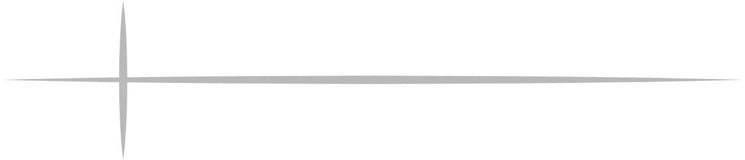 A simple sword-like line separating categories.