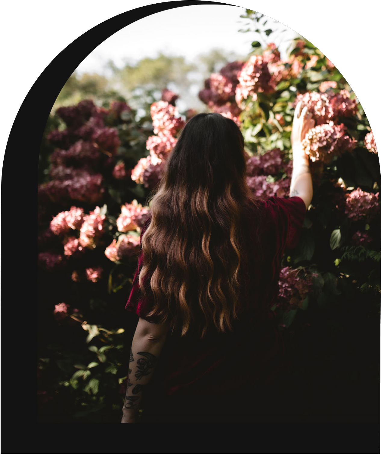 Bree with long, wavy hair, a red shirt and her back facing the camera reaching for pink hydrangea bush in a garden.