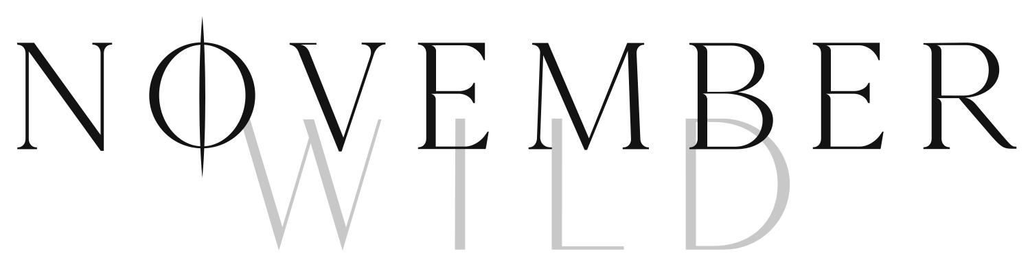Text saying 'November Wild' with a black line crossing the letter O in November.