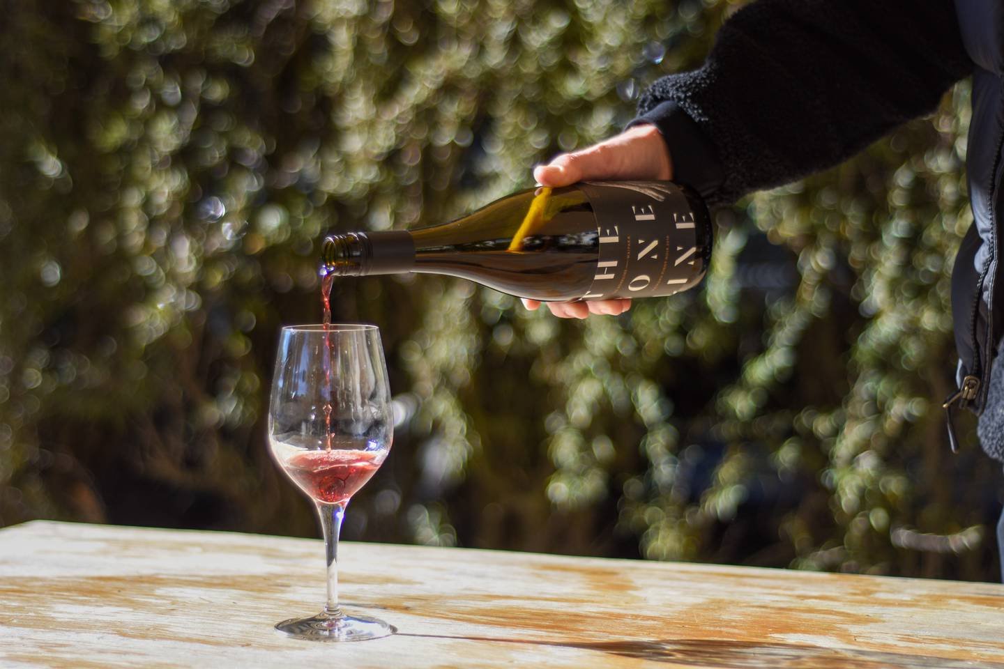 The Boneline seated tasting