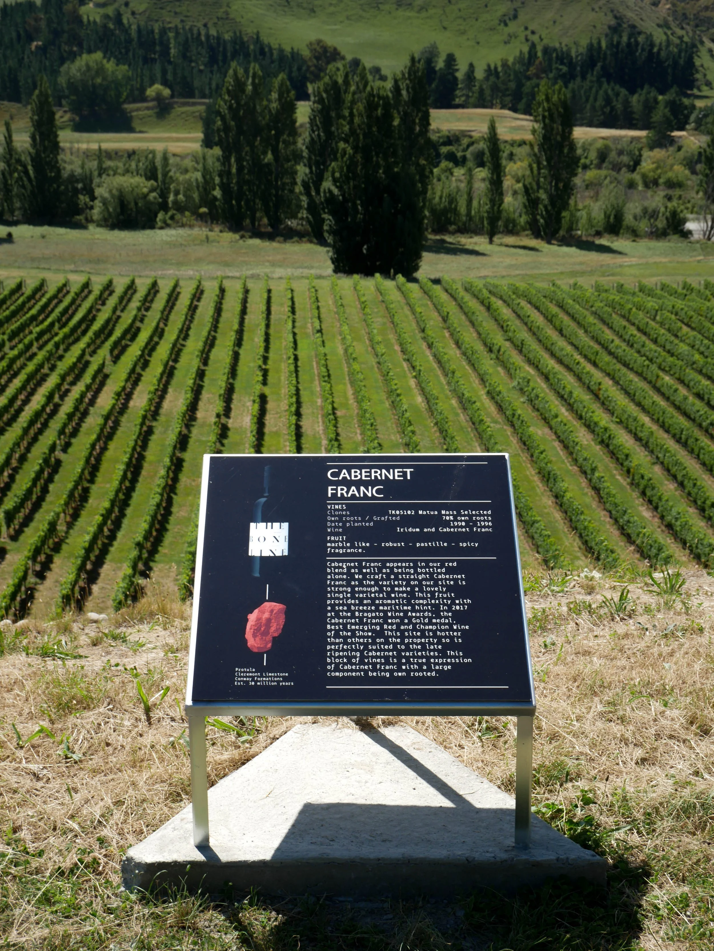 The Boneline vineyard walkway