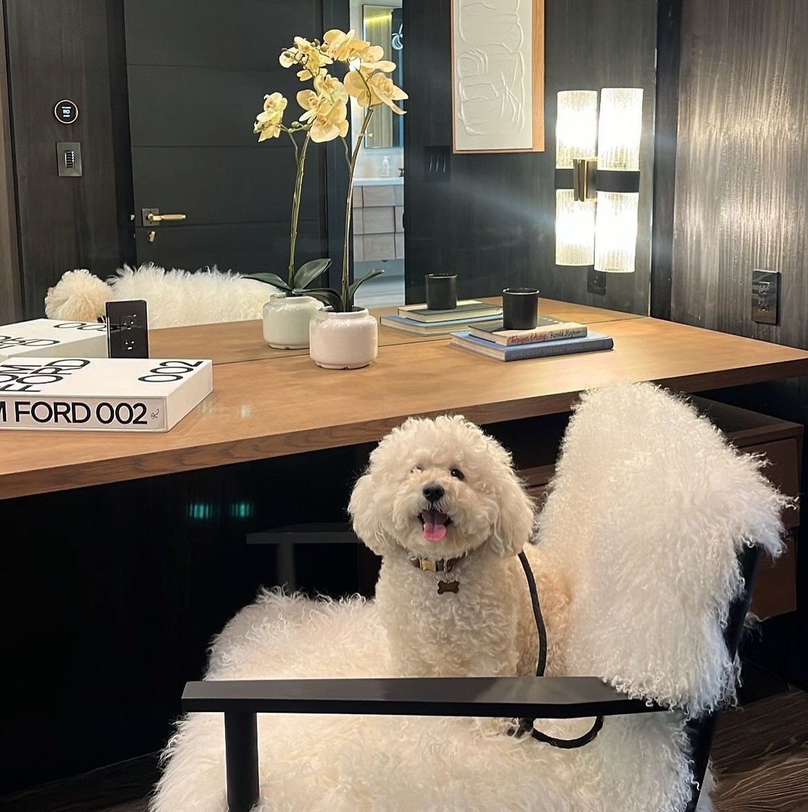 Happy 4th bday to my sweet Lola! You have been nothing but pure love + joy since you came into our lives!💕🥳🎂