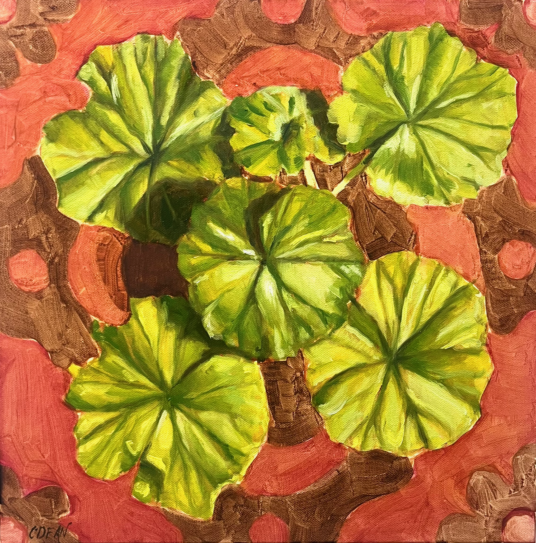Geraniums
2026
Oil on canvas
