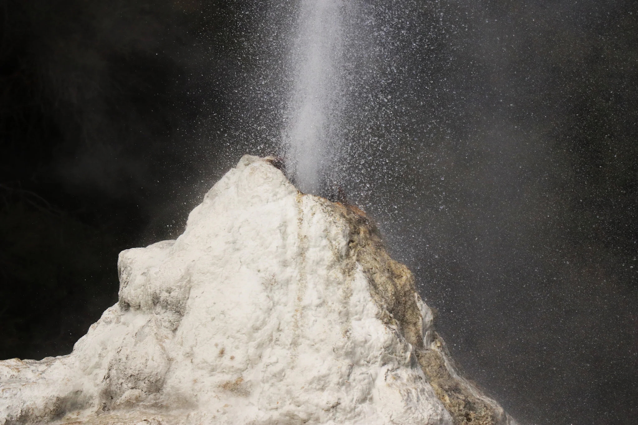 The Lady Knox Geyser erupting at Wai-O-Tapu Thermal Track in New Zealand. 