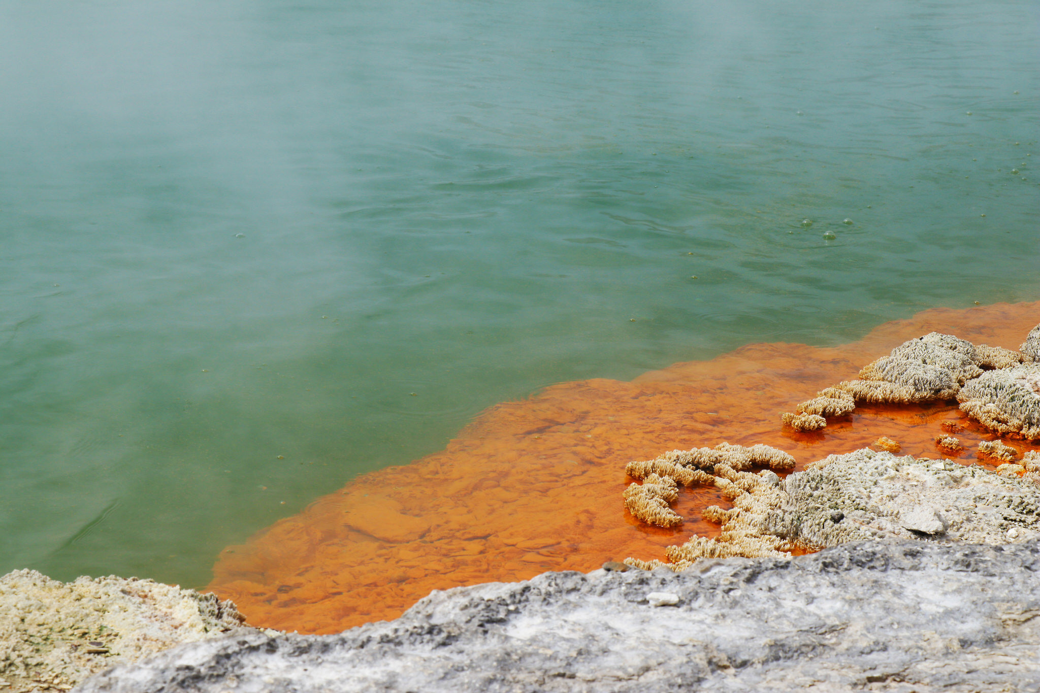 Champagne Pools at Wai-O-Tapu, New Zealand.