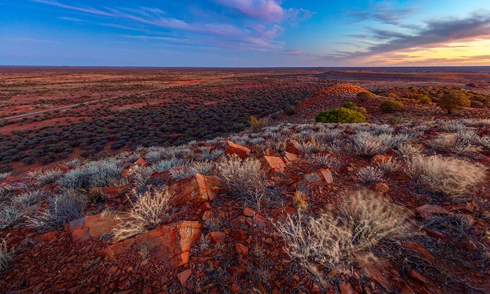 OLIVE BRANCH ENTERPRISE