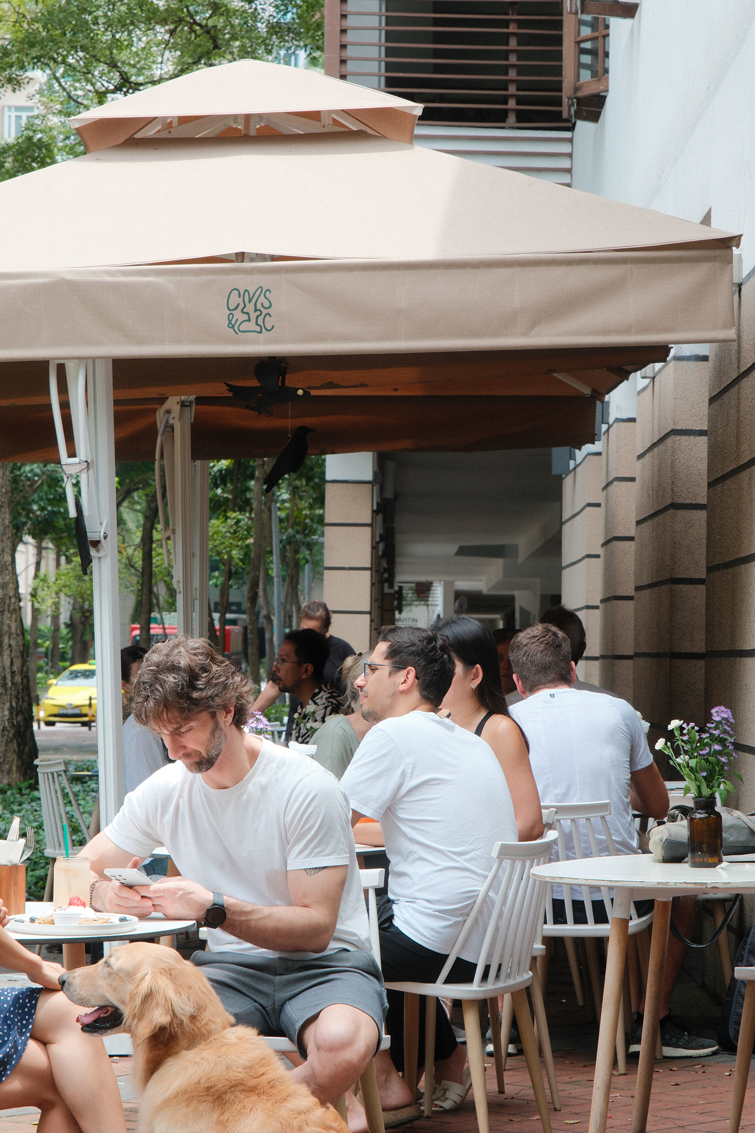 People dining outdoors at a cafe, some are talking and others are using their phones, with a dog sitting next to a man in the foreground, under beige umbrellas on a city sidewalk.