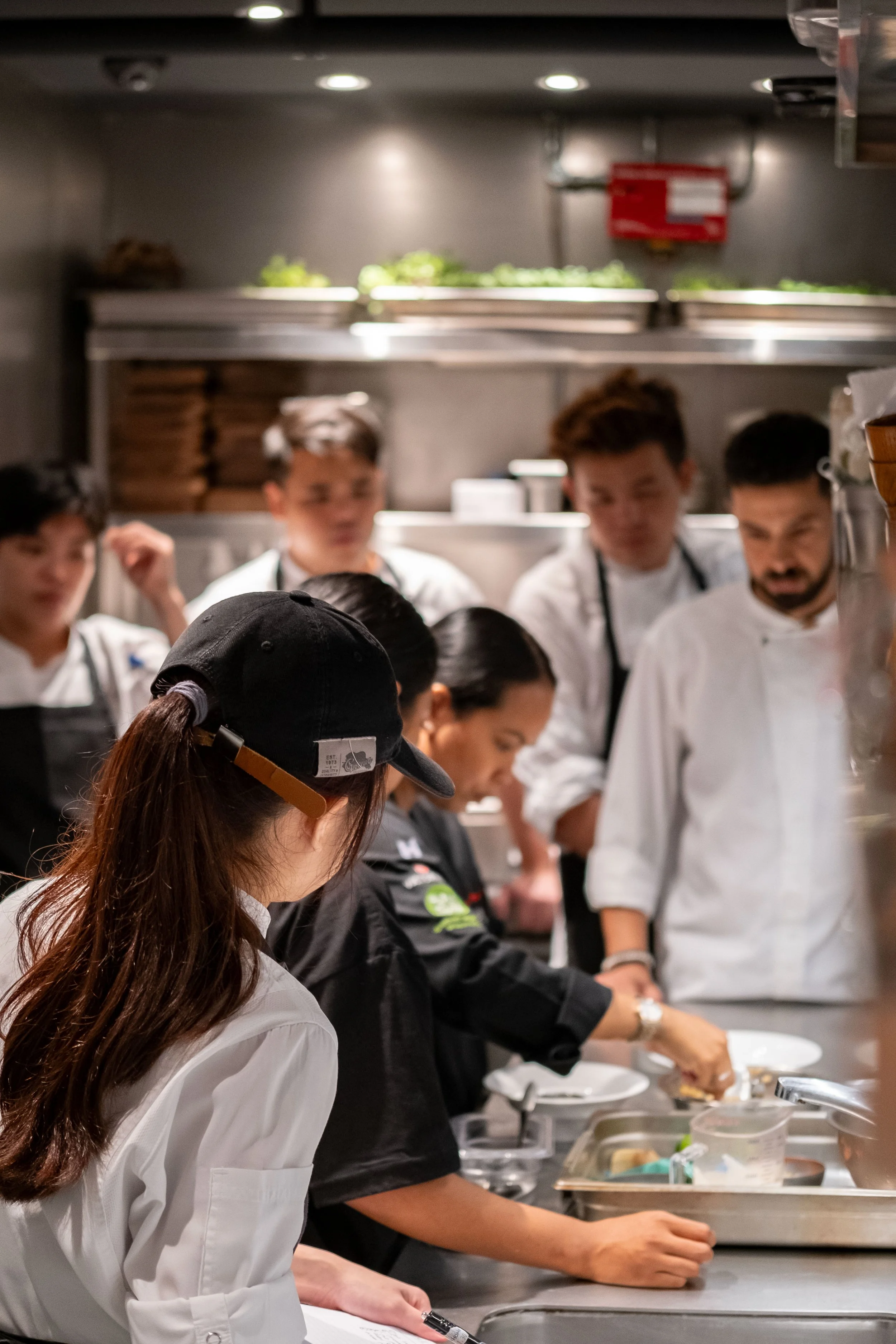 Chef De Partie | Aniba