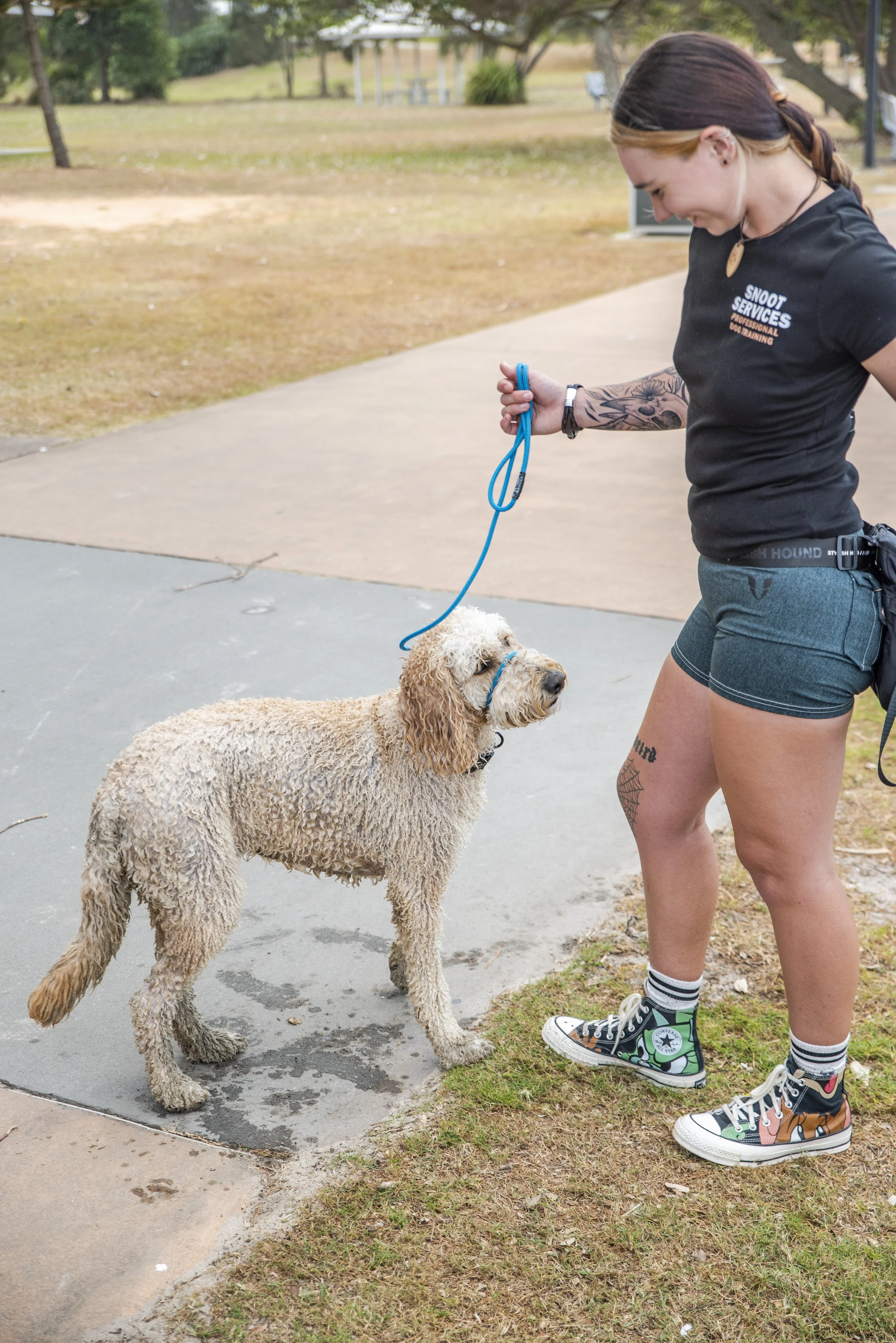 Training Lead (3 in 1)