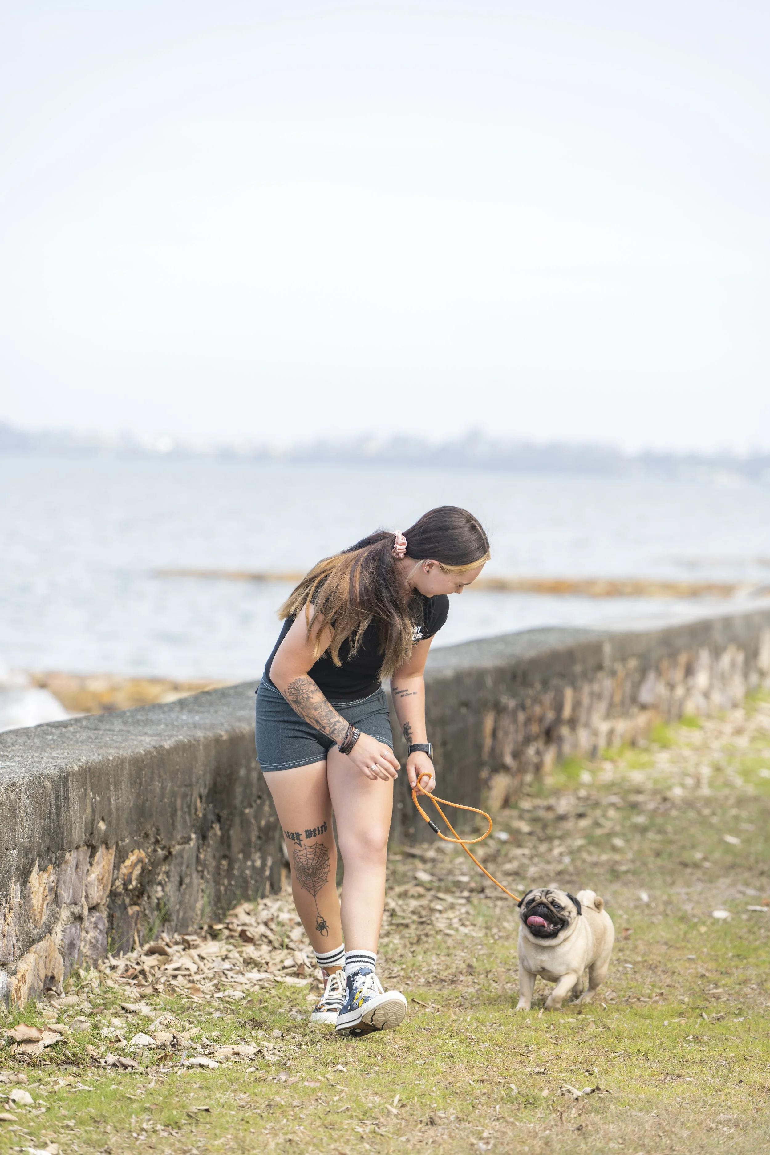 Walk & Train Packages