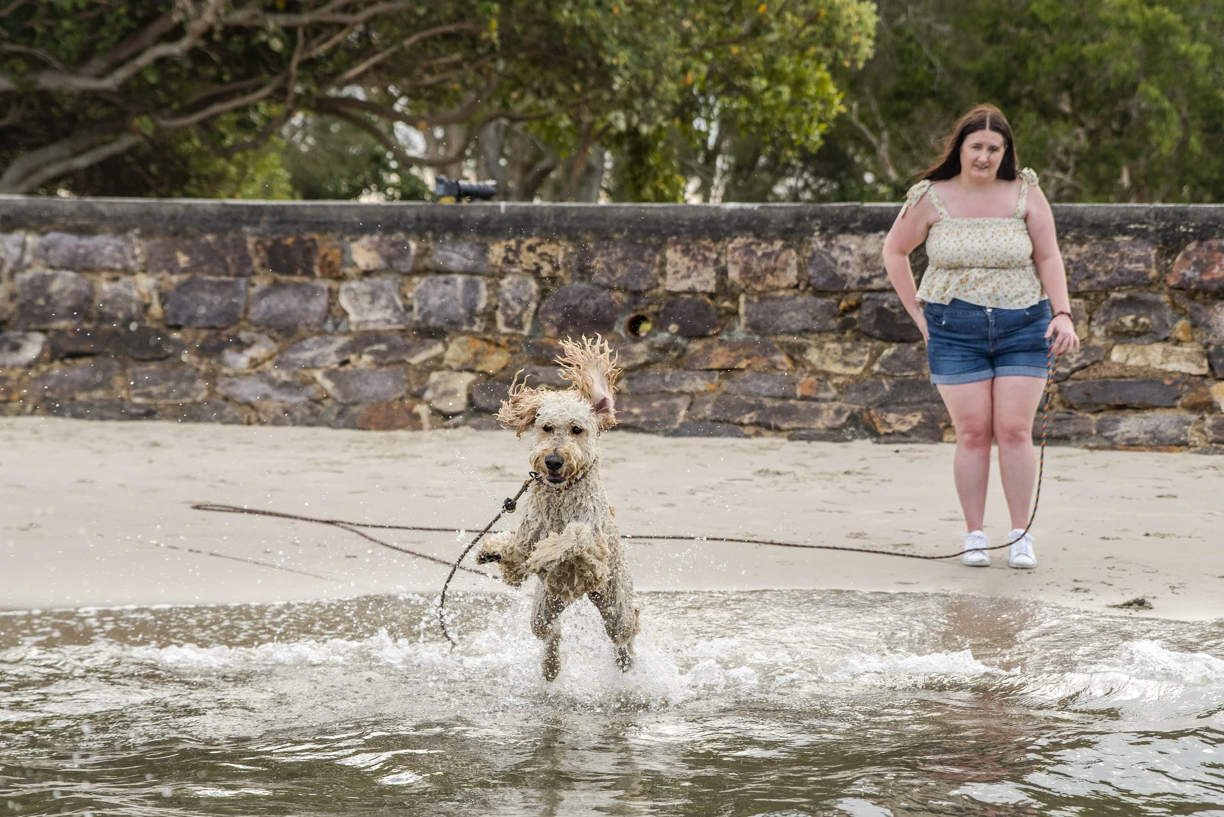 Long Leads (3 in 1 Leash)