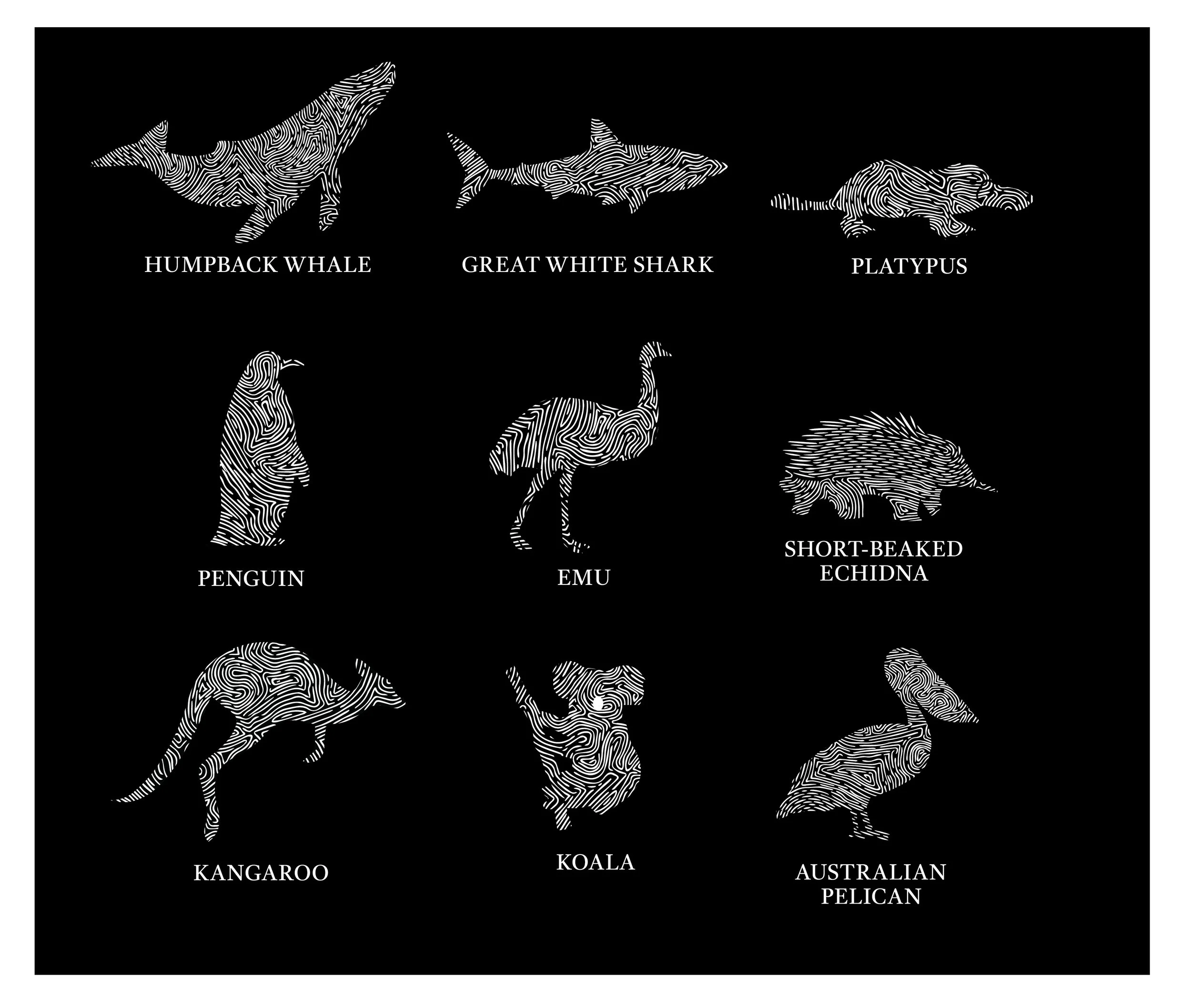 20230904 pictogram_rev5-02.jpg