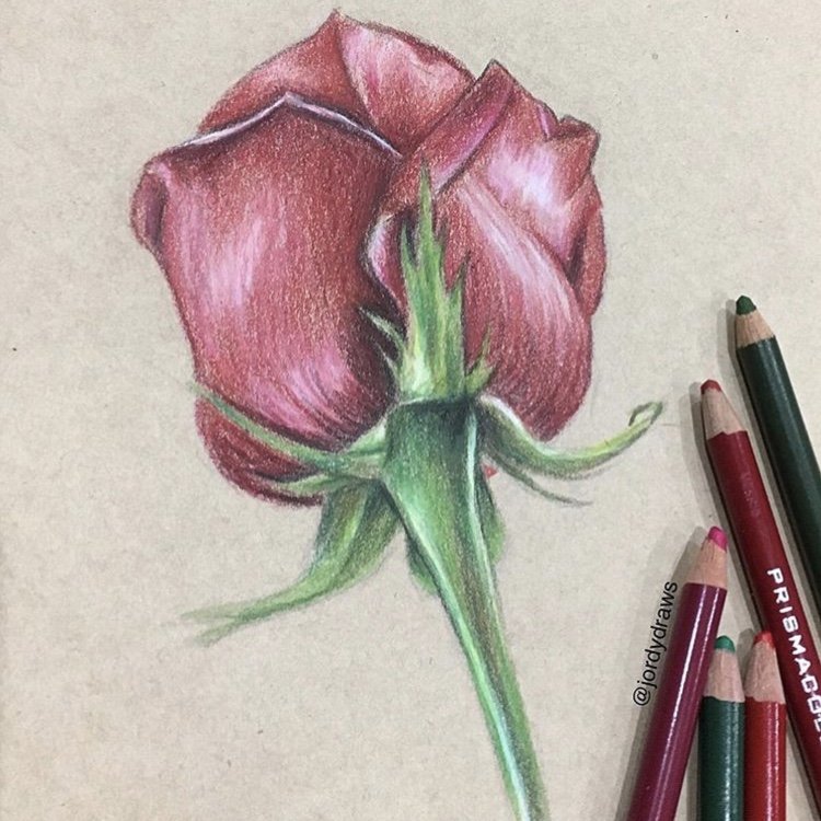 Coloured Pencils