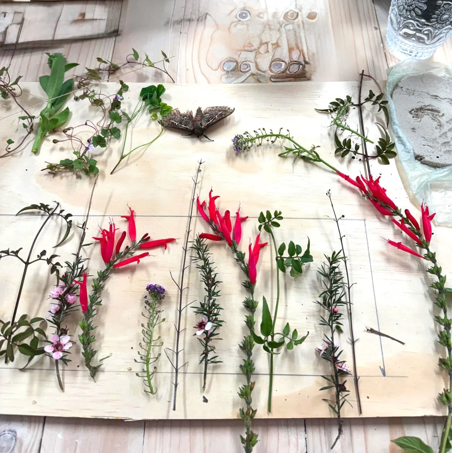 4C25E5E4-D0DD-42BE-8702-0D026CF66D2A (1).jpeg