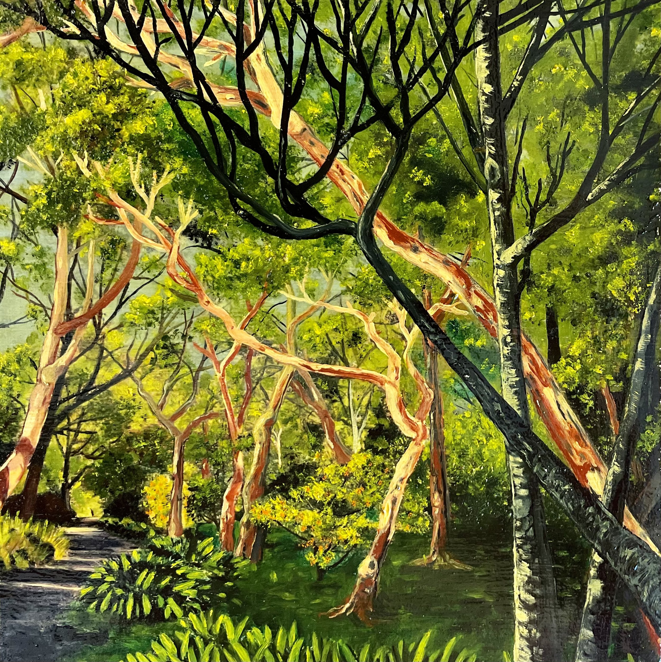 Blackheath Garden, 2022, oil on canvas, 20x20cm