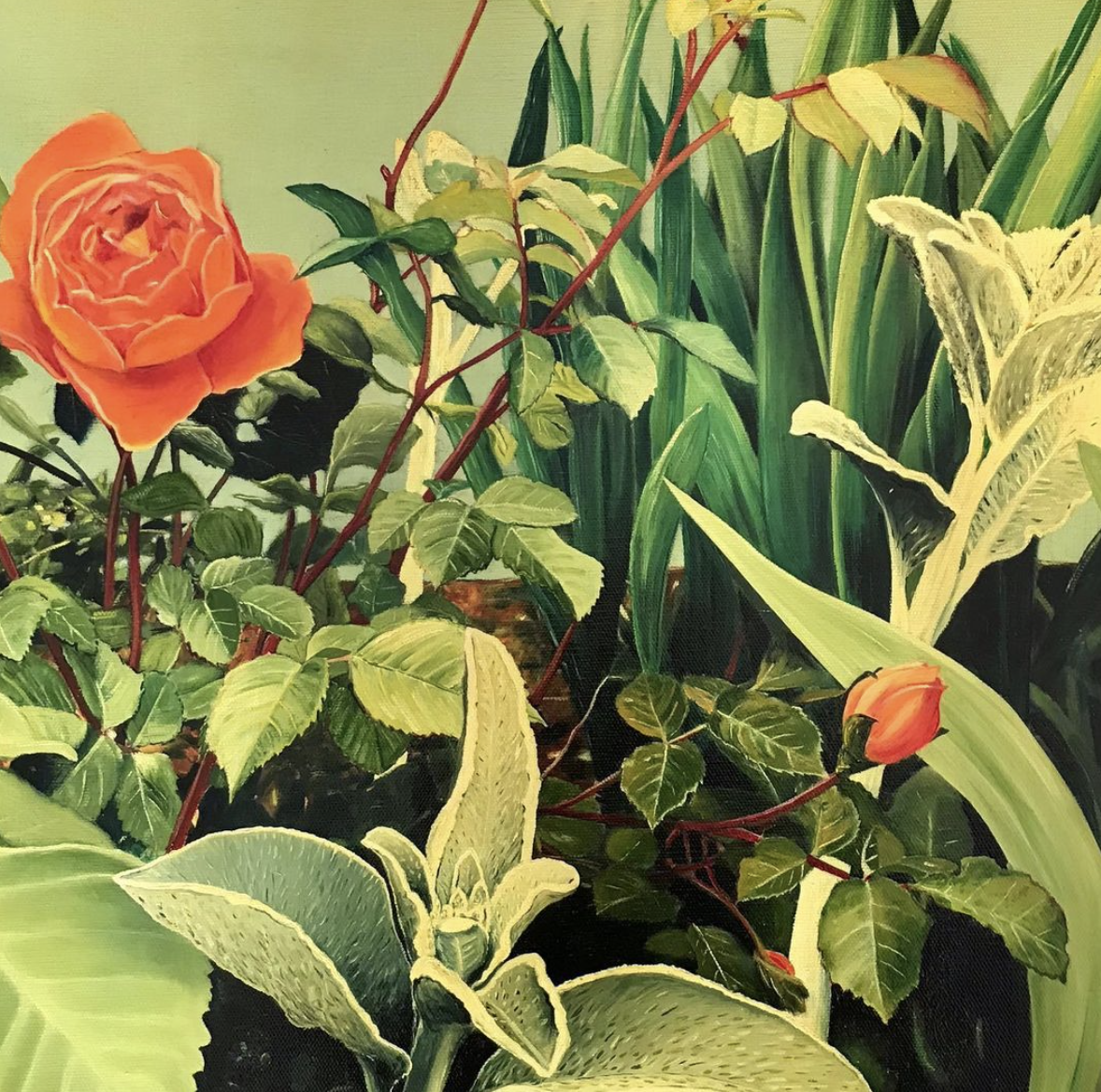 Blackheath Garden, oil on canvas, 40x40cm SOLD