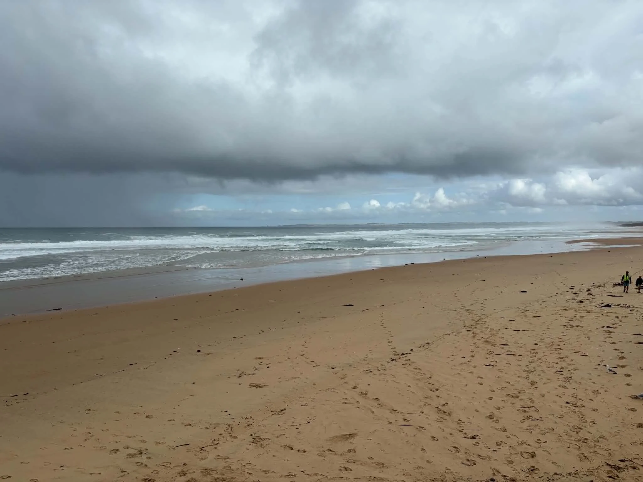 August 2026 (ROTM#212) Woolamai Beach, Victoria, Australia