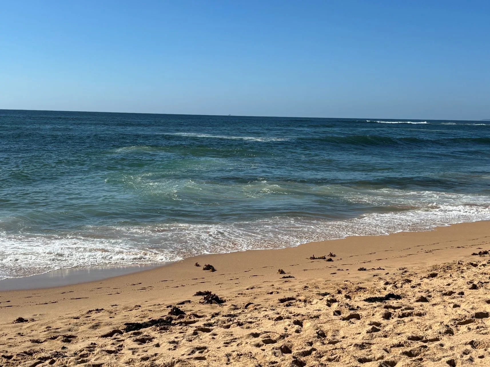 October 2026 (ROTM#214) Sharky Beach, NSW, Australia