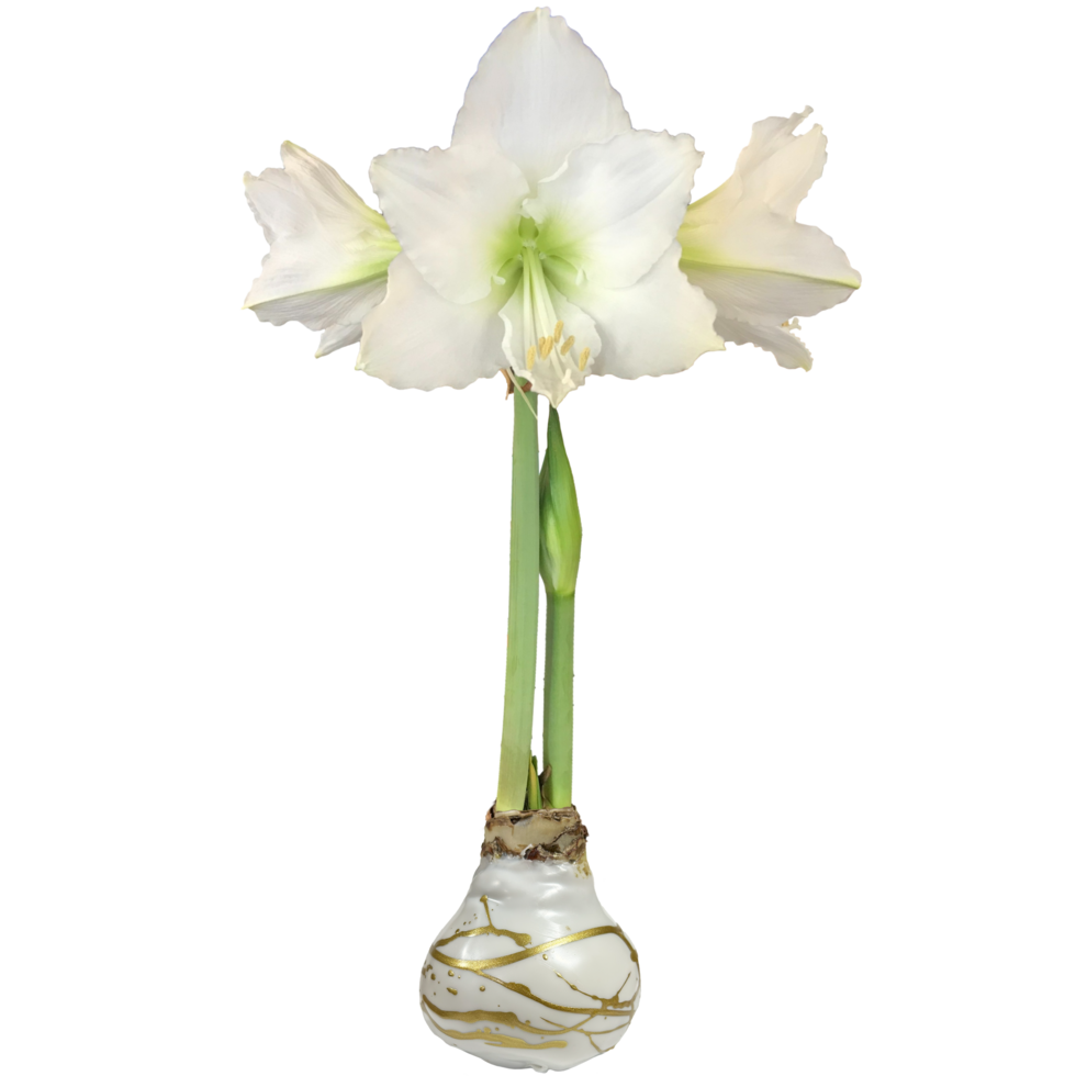 White_Flower_White_Wax_Gold_Lacquer_Splatter-rloy064r-4_large.png