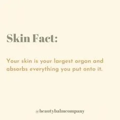 skin fact.jpg