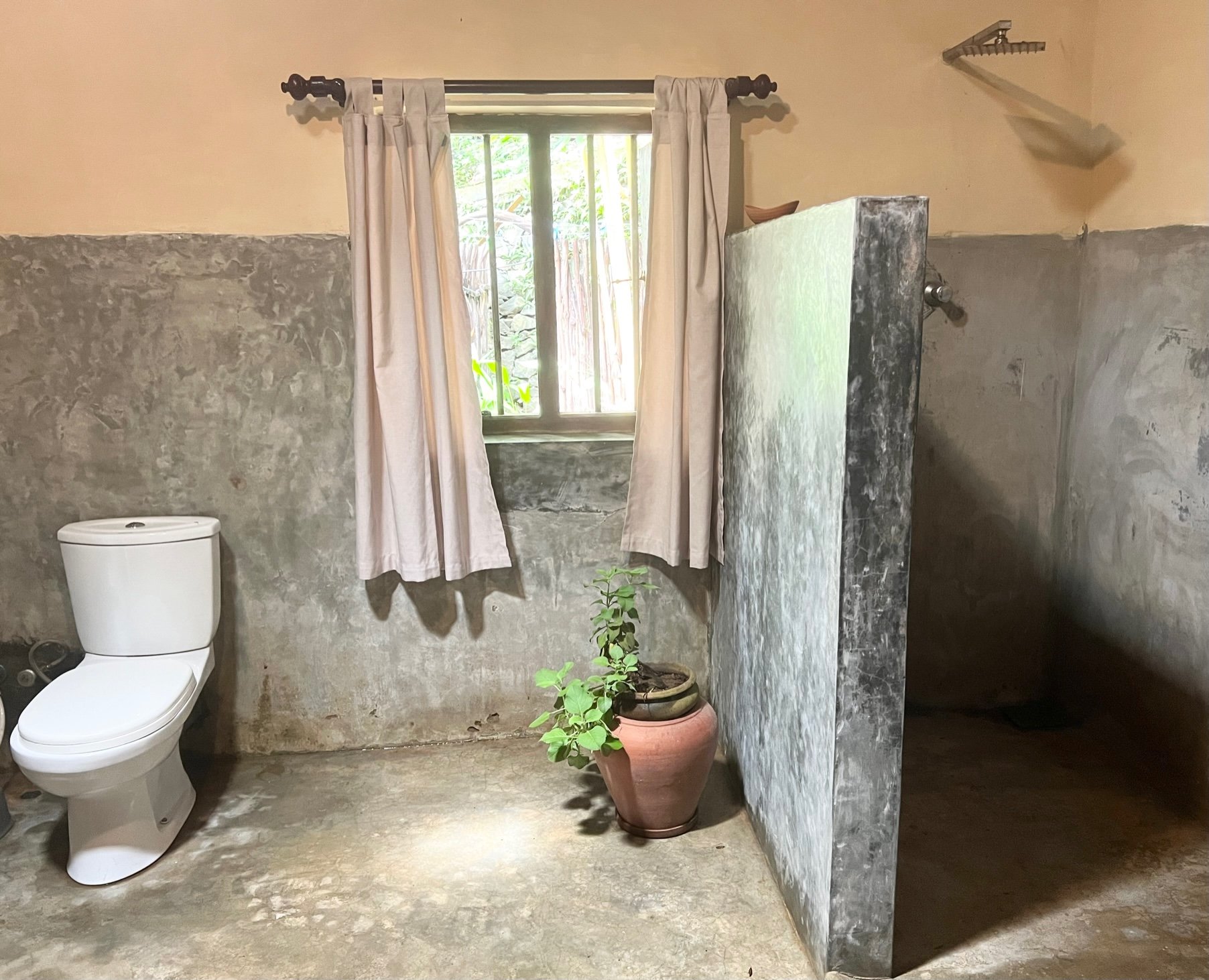 Simple bathroom with cement walls, featuring a toilet, window with light curtains, a shower area with a partial wall, and a potted plant on the floor.