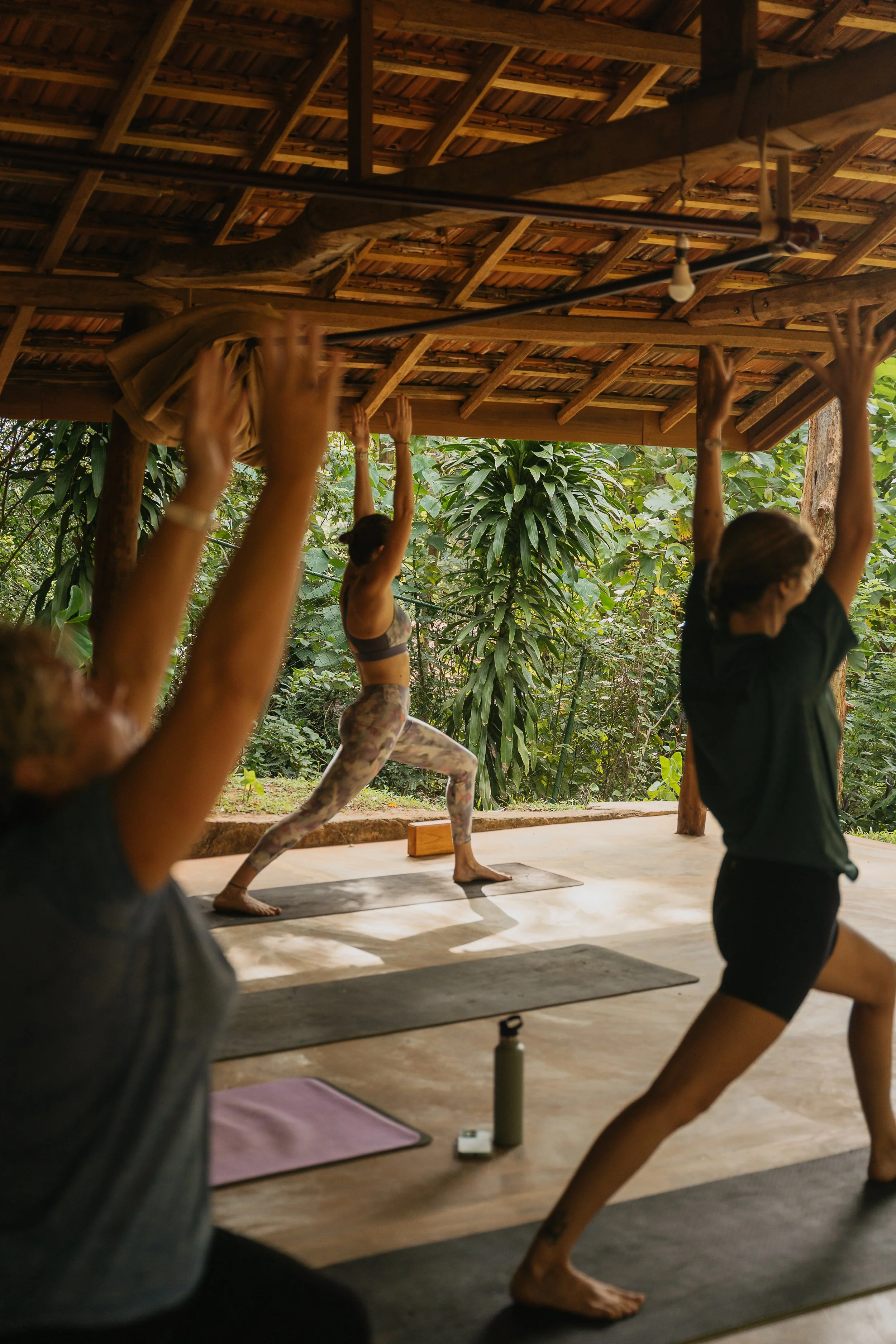 Yoga in the Jungle by the Ocean — All Season Long