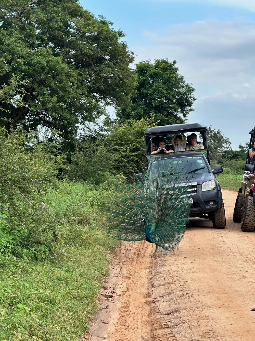 Libreria - 192 di 313.jpeg