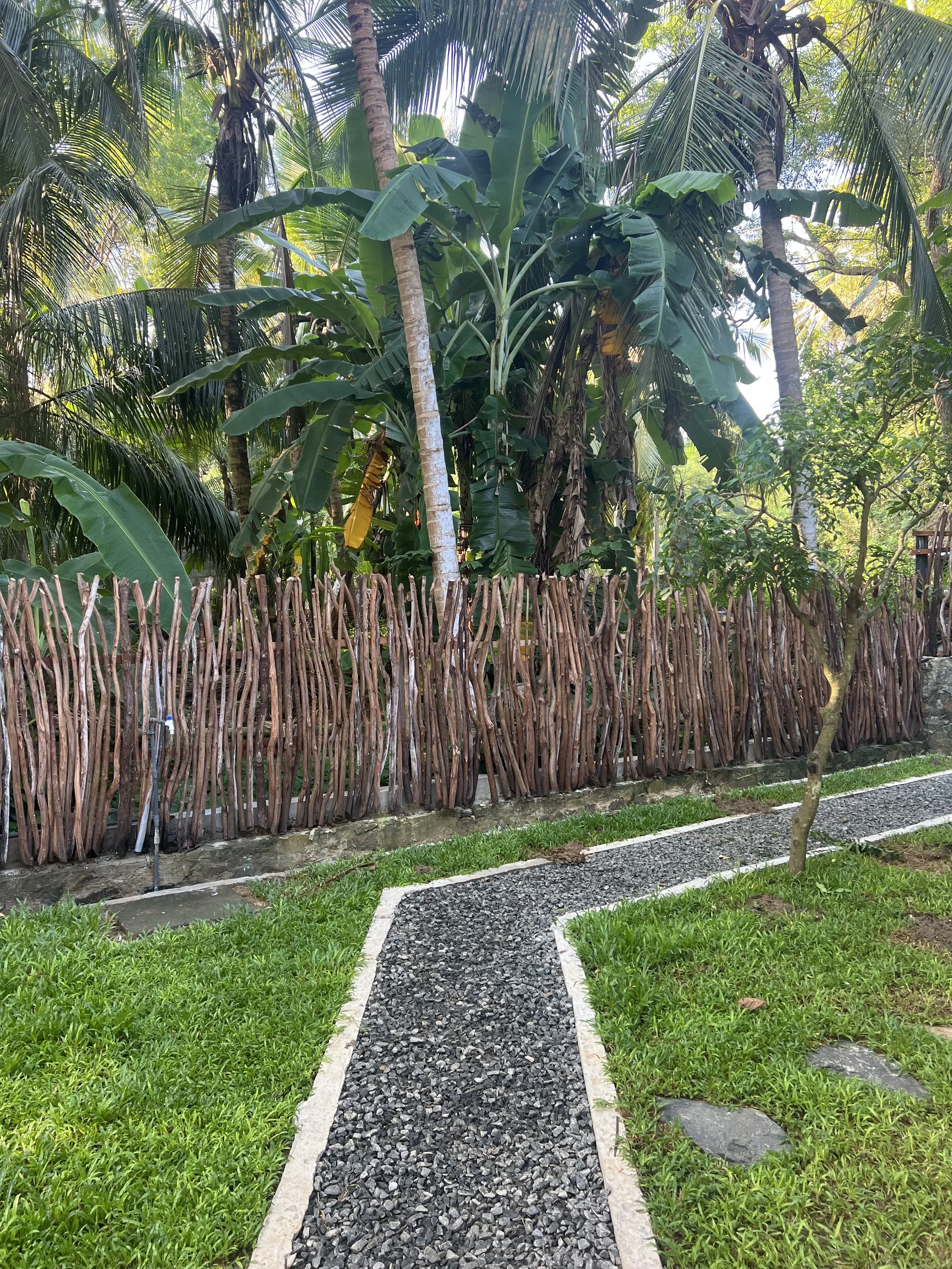 garden with jungle view at into the blue beach houses, just steps from the ocean 