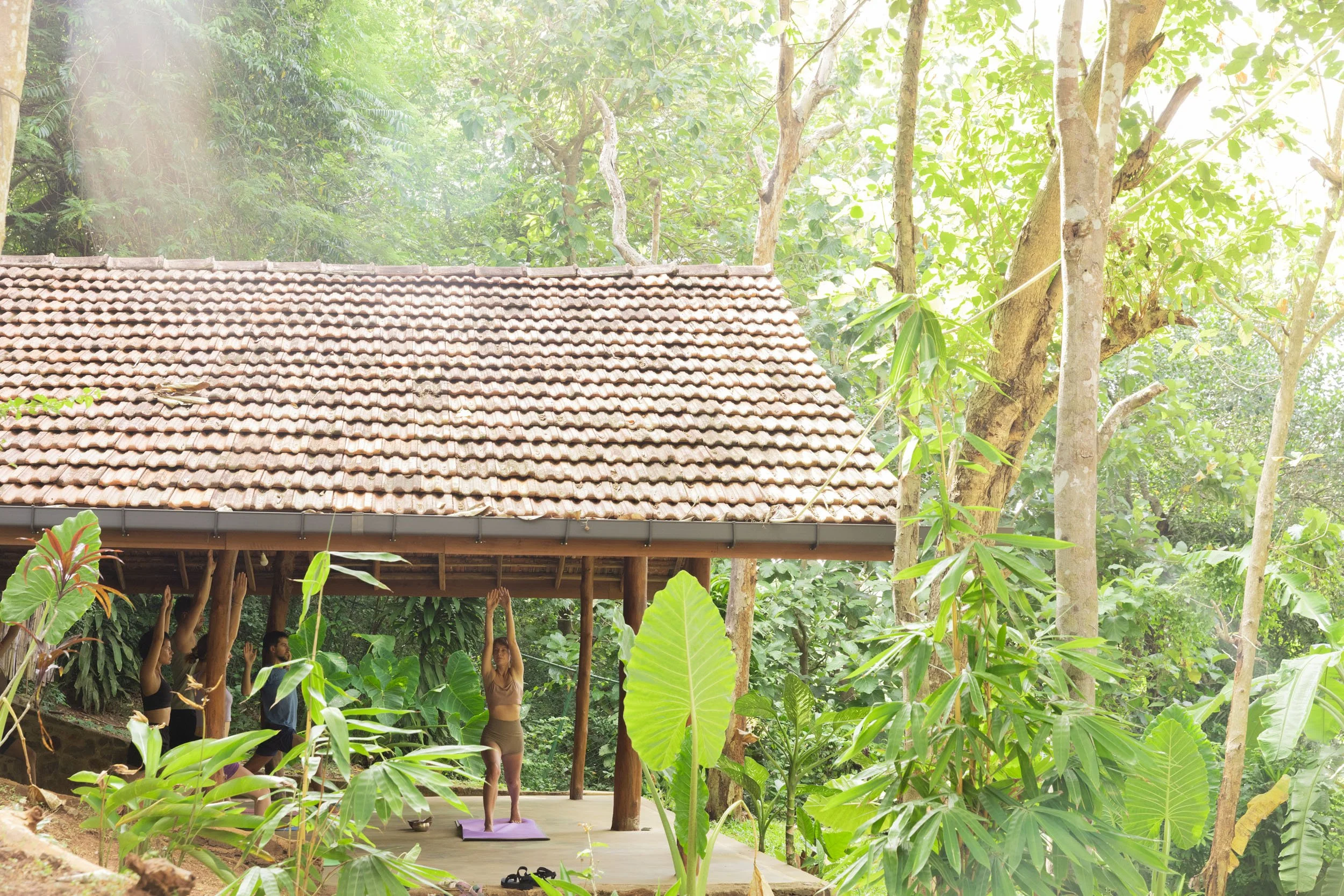 host retreat in sri lanka, jungle by the beach