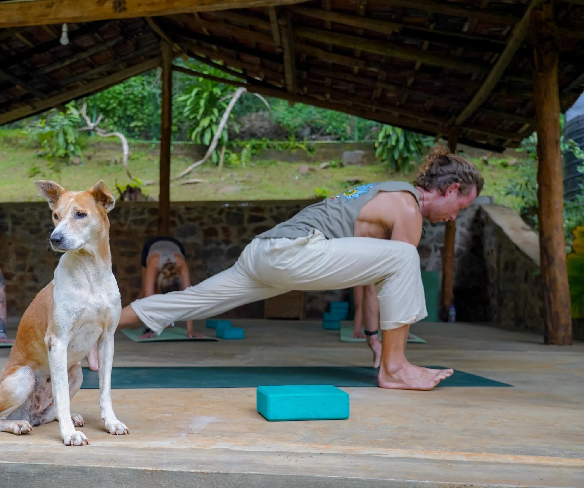 Why Unakuruwa Is Sri Lanka’s Best-Kept Secret (and the Perfect Spot for a Yoga Retreat)