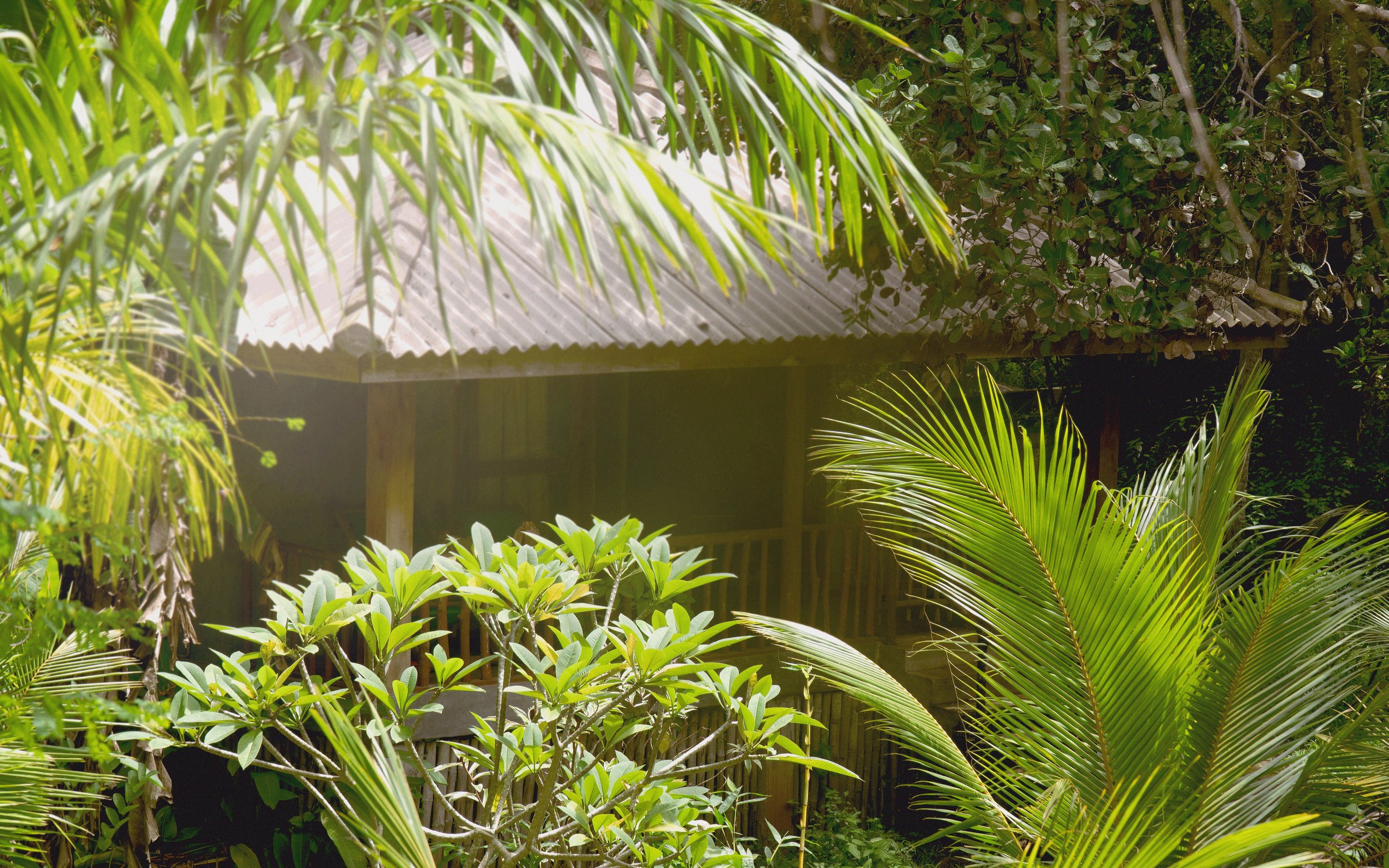Jungle Bliss: Embrace Nature at Our Idyllic Hotel Between Hiriketiya and Tangalle