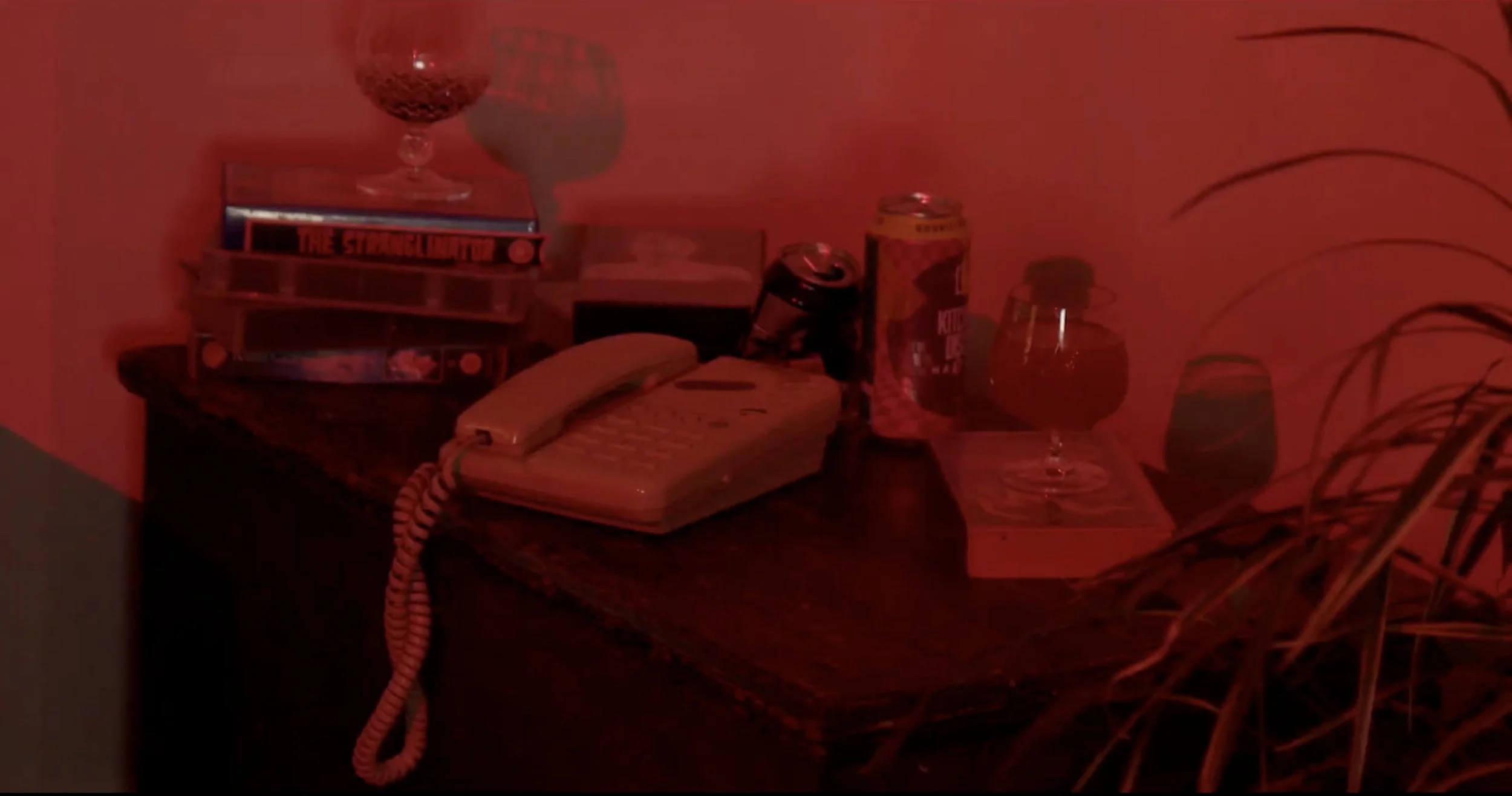 VTTV Still 15.jpg
