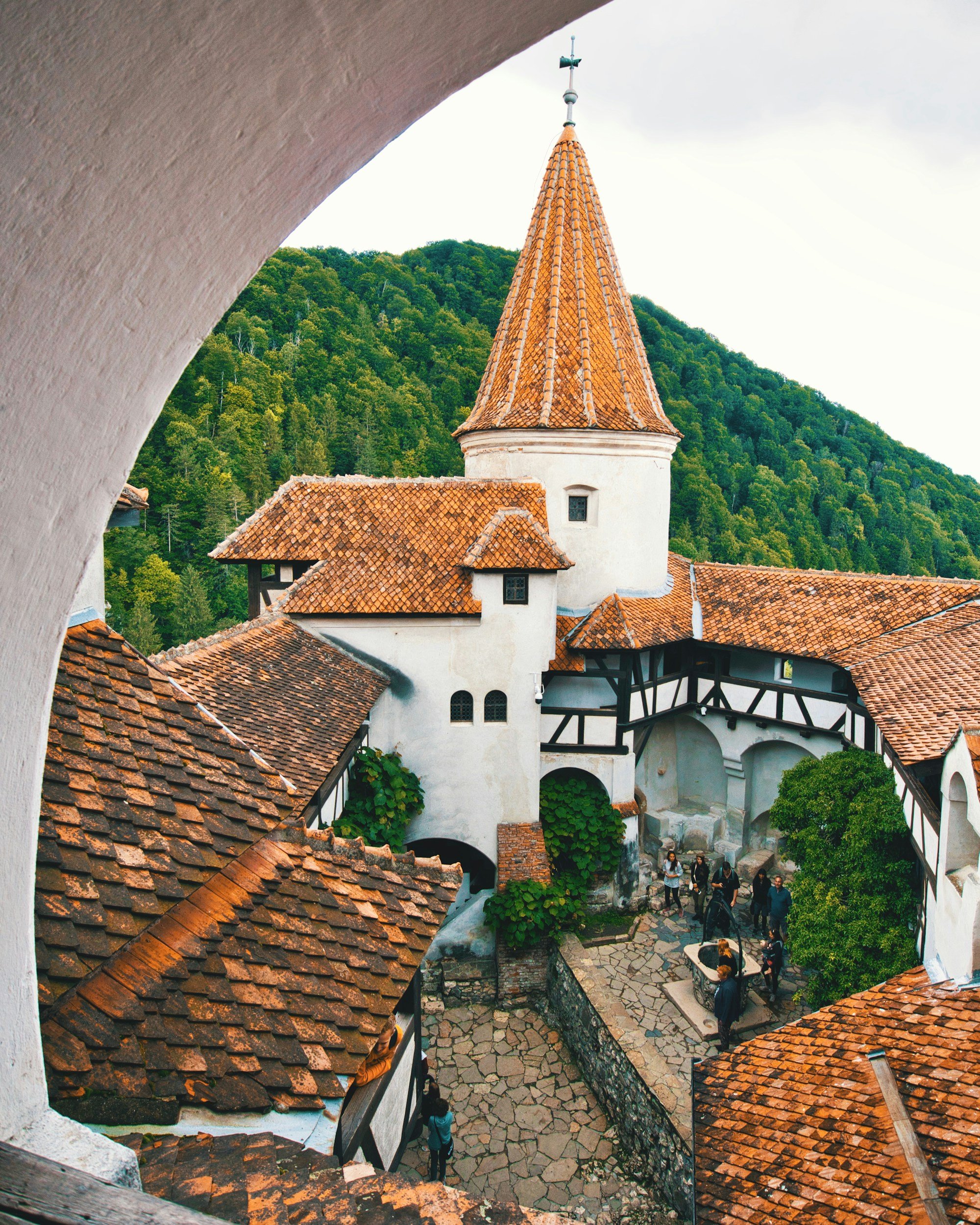 Legalization of Cannabis in Romania